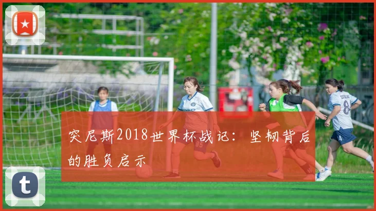 突尼斯2018世界杯战记：坚韧背后的胜负启示
