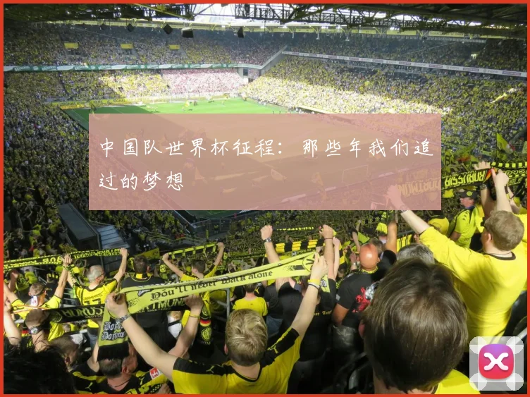 中国队世界杯征程：那些年我们追过的梦想