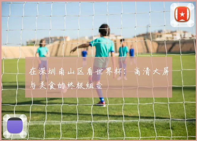 在深圳南山区看世界杯：高清大屏与美食的终极组合