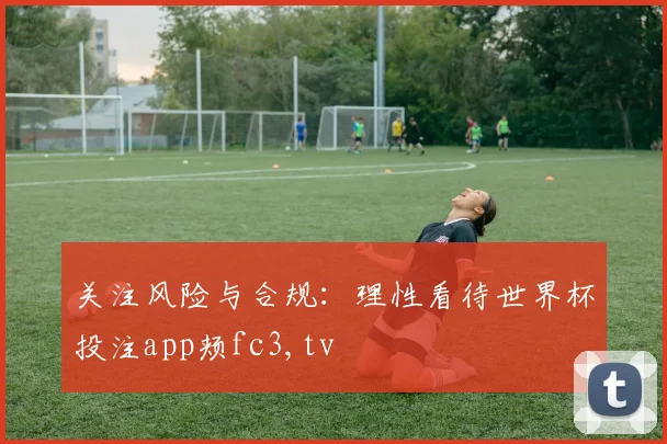 关注风险与合规：理性看待世界杯投注app颊fc3,tv