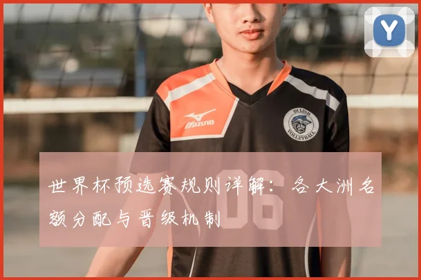世界杯预选赛规则详解：各大洲名额分配与晋级机制