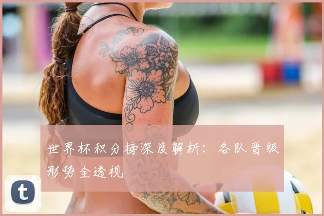 世界杯积分榜深度解析：各队晋级形势全透视
