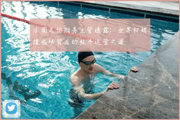 法国足协财务主管透露：世界杯辉煌成绩背后的经济运营之道