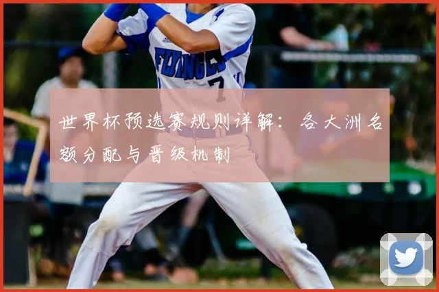 世界杯预选赛规则详解：各大洲名额分配与晋级机制