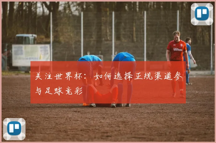 关注世界杯：如何选择正规渠道参与足球竞彩