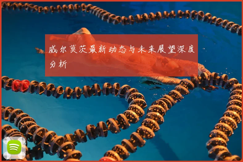 威尔莫茨最新动态与未来展望深度分析