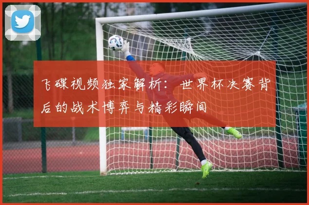 飞碟视频独家解析：世界杯决赛背后的战术博弈与精彩瞬间