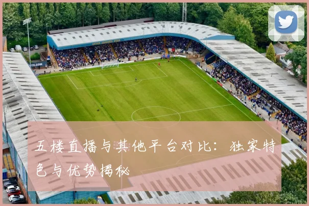 五楼直播与其他平台对比:独家特色与优势揭秘